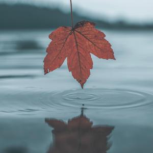 无尽❌裸体❌扶她❌❌原神
